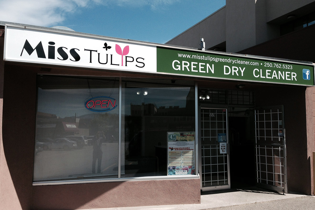 Miss Tulips Green Dry Clean